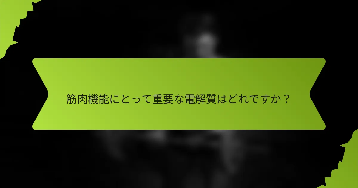 筋肉機能にとって重要な電解質はどれですか？